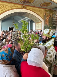 Служение епископа Митрофана в день праздника Входа Господня в Иерусалим