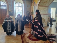 Епископ Митрофан возглавил «Мариино стояние»