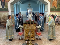 Служение епископа Митрофана накануне празднования Владимирской иконы Божией Матери